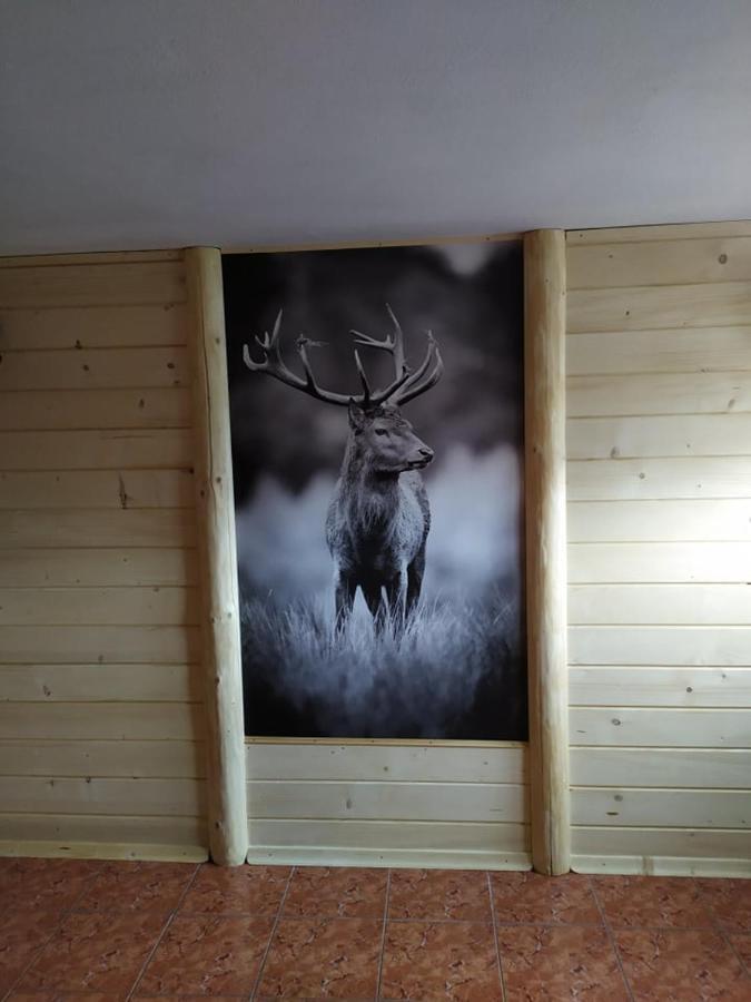 Janos Pokoje Goscinne Bialka Tatrzanska Exterior foto